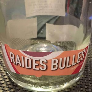 Raides Bulles - Causse Marines - Patrice Lescarret & Virginie Maignien 