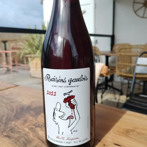 Raisins Gaulois - Domaine Marcel Lapierre - mathieu-camille-lapierre