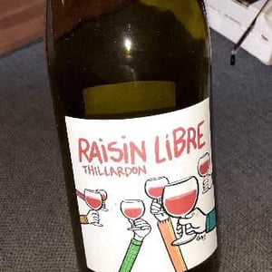 Domaine Thillardon - Aude, Jean-Baptiste, Charles et Paul-Henri Thillardon - Raisin Libre