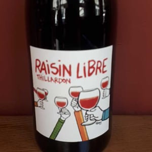 Raisin Libre - Domaine Thillardon - aude-jean-baptiste-charles-et-paul-henri-thillardon