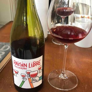 Domaine Thillardon - Aude, Jean-Baptiste, Charles et Paul-Henri Thillardon - Raisin Libre