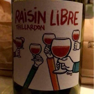 Domaine Thillardon - Aude, Jean-Baptiste, Charles et Paul-Henri Thillardon - Raisin Libre