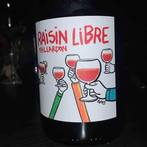 Domaine Thillardon - Aude, Jean-Baptiste, Charles et Paul-Henri Thillardon - Raisin Libre