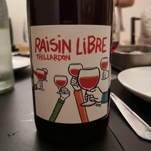 Domaine Thillardon - Aude, Jean-Baptiste, Charles et Paul-Henri Thillardon - Raisin Libre