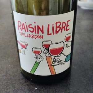Domaine Thillardon - Aude, Jean-Baptiste, Charles et Paul-Henri Thillardon - Raisin Libre