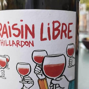 Domaine Thillardon - Aude, Jean-Baptiste, Charles et Paul-Henri Thillardon - Raisin Libre