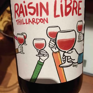 Raisin Libre - Domaine Thillardon - aude-jean-baptiste-charles-et-paul-henri-thillardon