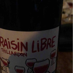 Raisin Libre - Domaine Thillardon - aude-jean-baptiste-charles-et-paul-henri-thillardon