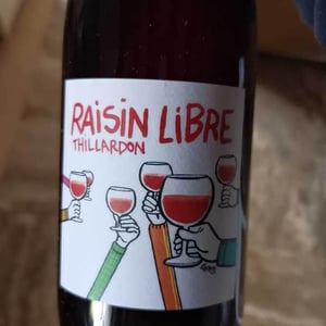 Domaine Thillardon - Aude, Jean-Baptiste, Charles et Paul-Henri Thillardon - Raisin Libre