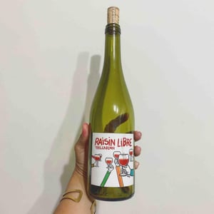 Domaine Thillardon - Aude, Jean-Baptiste, Charles et Paul-Henri Thillardon - Raisin Libre