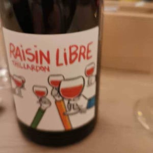 Raisin Libre - Domaine Thillardon - Aude, Jean-Baptiste, Charles et Paul-Henri Thillardon
