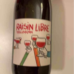 Domaine Thillardon - Aude, Jean-Baptiste, Charles et Paul-Henri Thillardon - Raisin Libre