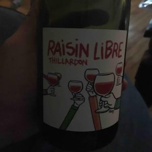 Domaine Thillardon - Aude, Jean-Baptiste, Charles et Paul-Henri Thillardon - Raisin Libre