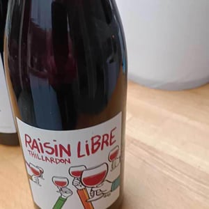 Domaine Thillardon - Aude, Jean-Baptiste, Charles et Paul-Henri Thillardon - Raisin Libre