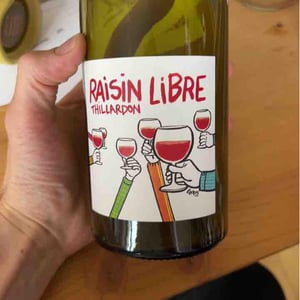 Raisin Libre - Domaine Thillardon - aude-jean-baptiste-charles-et-paul-henri-thillardon