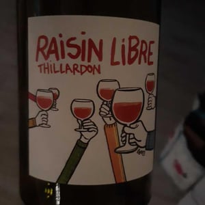 Domaine Thillardon - Aude, Jean-Baptiste, Charles et Paul-Henri Thillardon - Raisin Libre