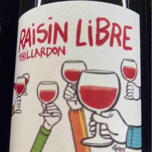 Raisin Libre - Domaine Thillardon - aude-jean-baptiste-charles-et-paul-henri-thillardon