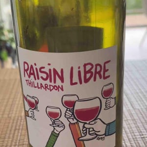Raisin Libre - Domaine Thillardon - Aude, Jean-Baptiste, Charles et Paul-Henri Thillardon 