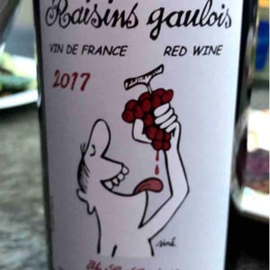 Domaine Marcel Lapierre - Mathieu & Camille Lapierre - Raisins Gaulois