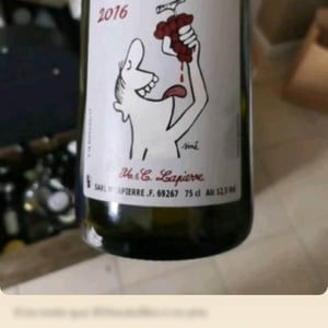 Domaine Marcel Lapierre - Mathieu & Camille Lapierre - Raisins Gaulois