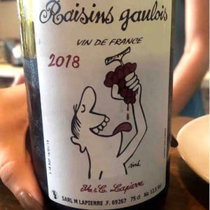 Domaine Marcel Lapierre - Mathieu & Camille Lapierre - Raisins Gaulois