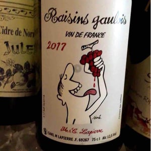 Domaine Marcel Lapierre - Mathieu & Camille Lapierre - Raisins Gaulois