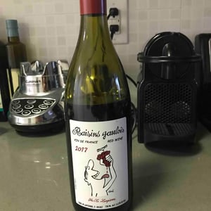 Raisins Gaulois - Domaine Marcel Lapierre - Mathieu & Camille Lapierre 