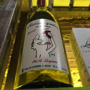 Raisins Gaulois - Domaine Marcel Lapierre - Mathieu & Camille Lapierre 