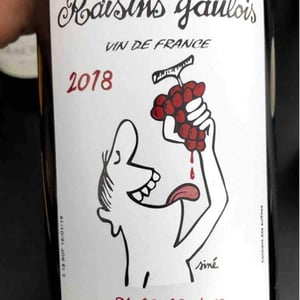 Domaine Marcel Lapierre - Mathieu & Camille Lapierre - Raisins Gaulois