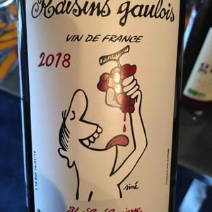 Domaine Marcel Lapierre - Mathieu & Camille Lapierre - Raisins Gaulois