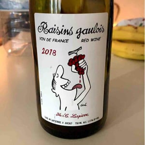 Domaine Marcel Lapierre - Mathieu & Camille Lapierre - Raisins Gaulois