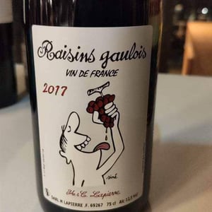 Domaine Marcel Lapierre - Mathieu & Camille Lapierre - Raisins Gaulois