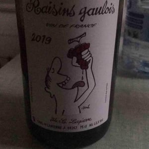 Domaine Marcel Lapierre - Mathieu & Camille Lapierre - Raisins Gaulois