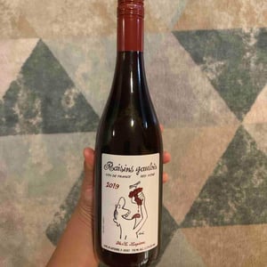 Domaine Marcel Lapierre - Mathieu & Camille Lapierre - Raisins Gaulois
