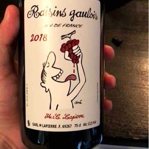 Domaine Marcel Lapierre - Mathieu & Camille Lapierre - Raisins Gaulois