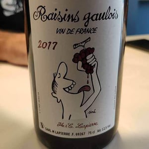 Domaine Marcel Lapierre - Mathieu & Camille Lapierre - Raisins Gaulois