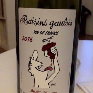 Domaine Marcel Lapierre - Mathieu & Camille Lapierre - Raisins Gaulois