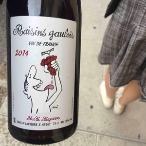 Raisins Gaulois - Domaine Marcel Lapierre - Mathieu & Camille Lapierre 