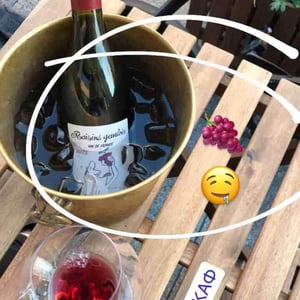 Domaine Marcel Lapierre - Mathieu & Camille Lapierre - Raisins Gaulois