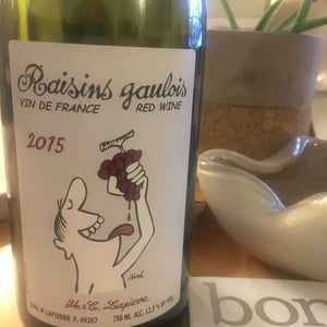Domaine Marcel Lapierre - Mathieu & Camille Lapierre - Raisins Gaulois