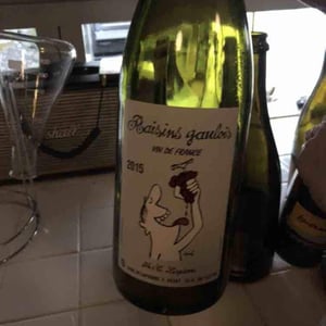 Domaine Marcel Lapierre - Mathieu & Camille Lapierre - Raisins Gaulois