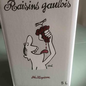 Domaine Marcel Lapierre - Mathieu & Camille Lapierre - Raisins Gaulois