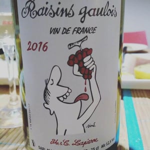 Domaine Marcel Lapierre - Mathieu & Camille Lapierre - Raisins Gaulois
