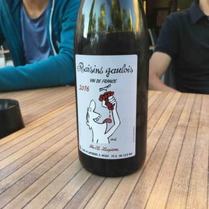 Domaine Marcel Lapierre - Mathieu & Camille Lapierre - Raisins Gaulois