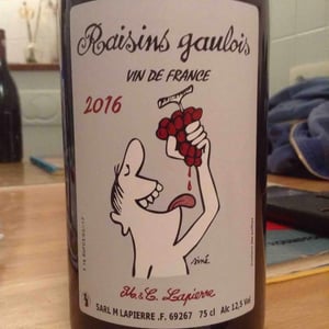 Domaine Marcel Lapierre - Mathieu & Camille Lapierre - Raisins Gaulois