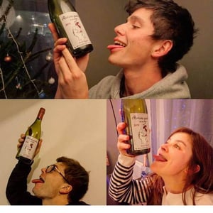 Domaine Marcel Lapierre - Mathieu & Camille Lapierre - Raisins Gaulois