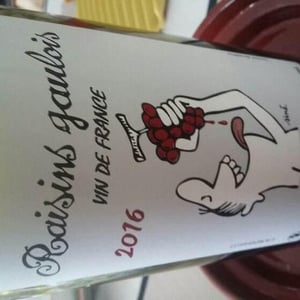 Domaine Marcel Lapierre - Mathieu & Camille Lapierre - Raisins Gaulois