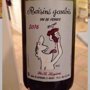 Domaine Marcel Lapierre - Mathieu & Camille Lapierre - Raisins Gaulois