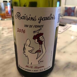 Domaine Marcel Lapierre - Mathieu & Camille Lapierre - Raisins Gaulois