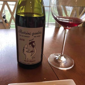 Domaine Marcel Lapierre - Mathieu & Camille Lapierre - Raisins Gaulois